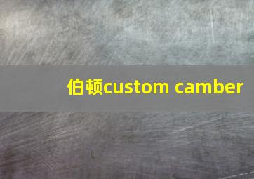 伯顿custom camber